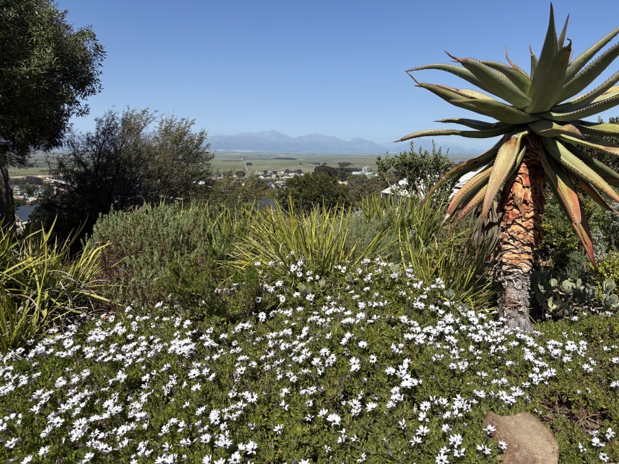 0 Bedroom Property for Sale in Piketberg Western Cape